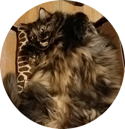 sweet sassy-girl